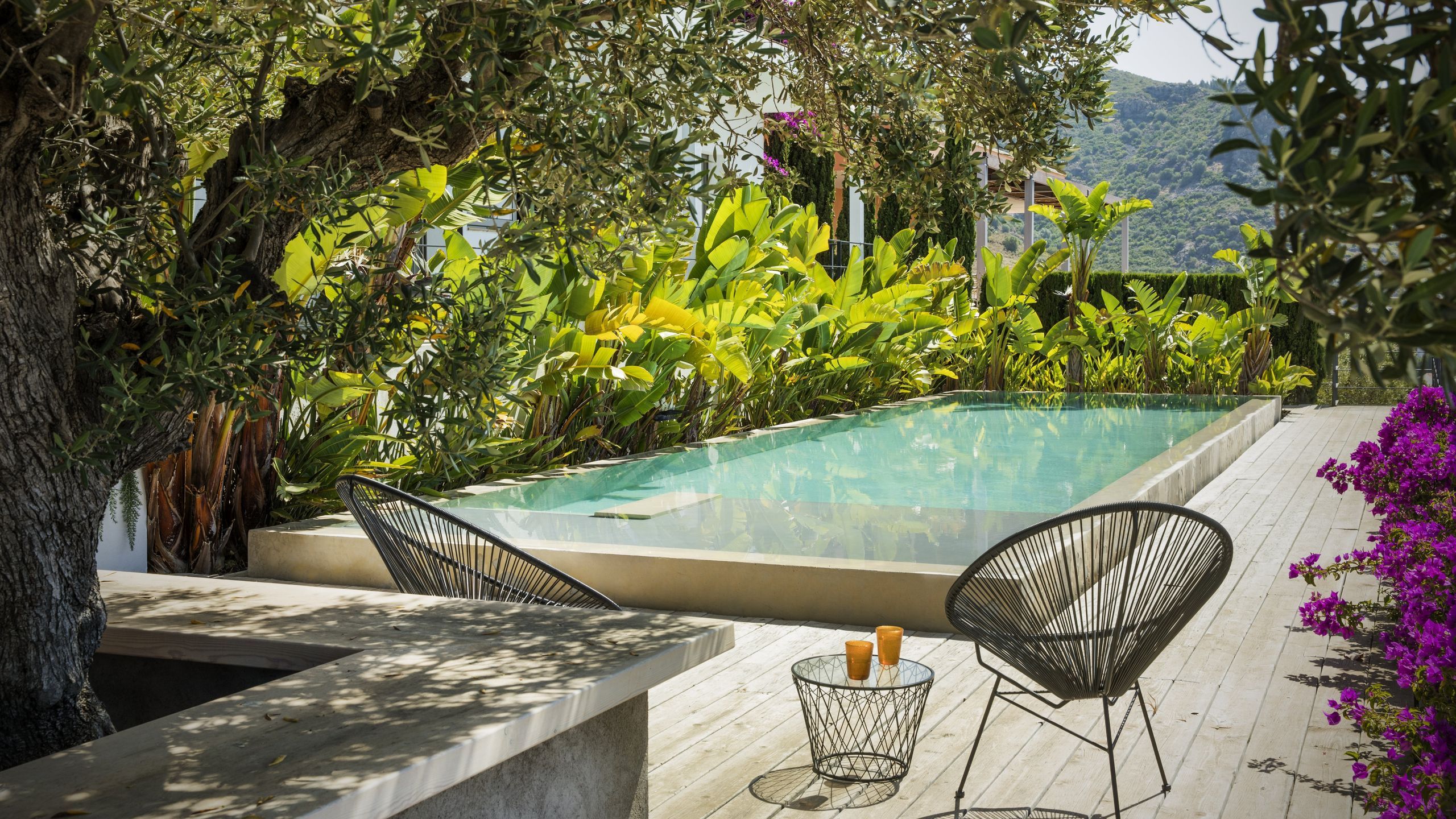 Jardin dans le Var